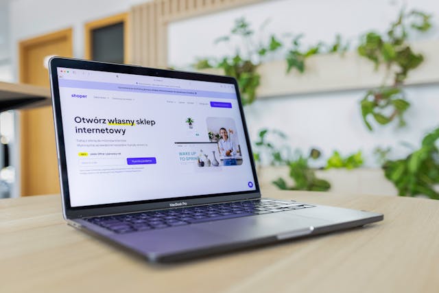 E-commerce development